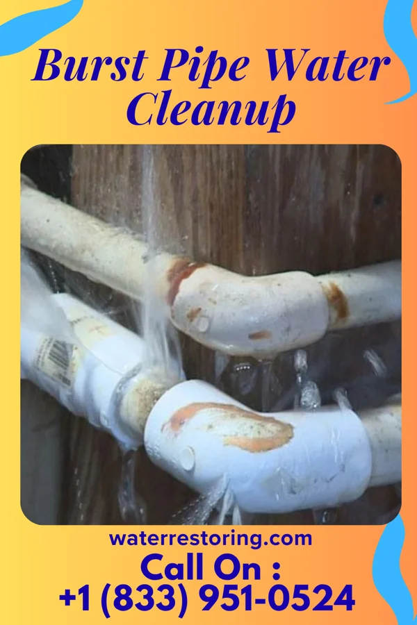 Burst Pipe Water Cleanup in Eau Claire, PA