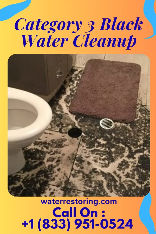 Category 3 Black Water Cleanup in Eau Claire, PA