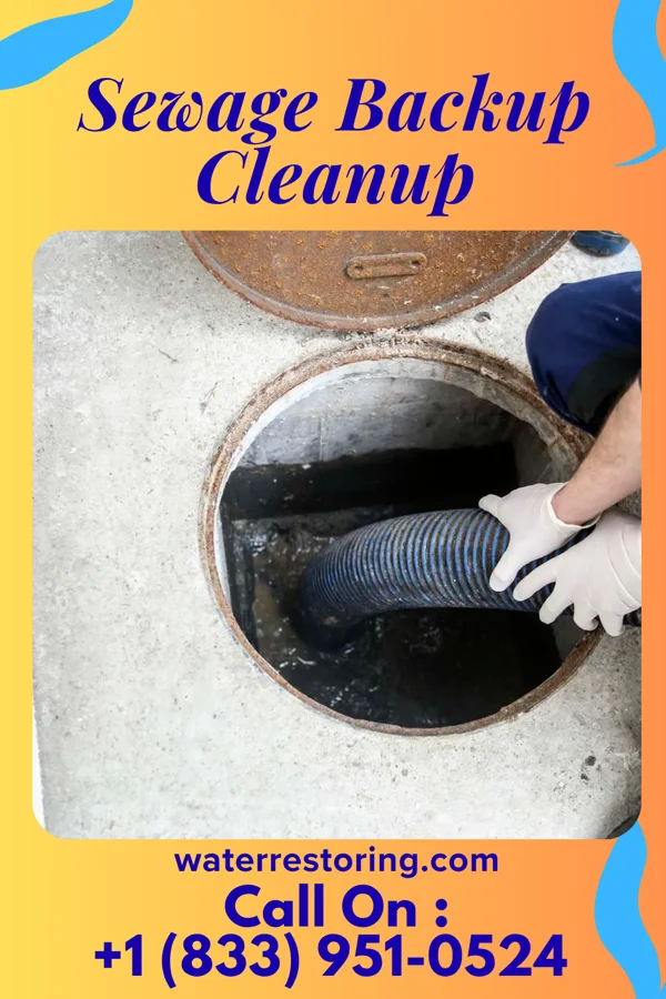 Sewage Backup Cleanup in Eau Claire, PA