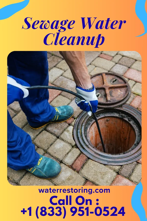 Sewage Water Cleanup in Eau Claire, PA